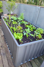 WaterUps Oasis 1680 Wicking Bed
