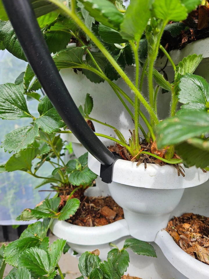 Verandah Planter Netting System