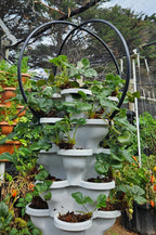 Solar Eco Farm Netting System