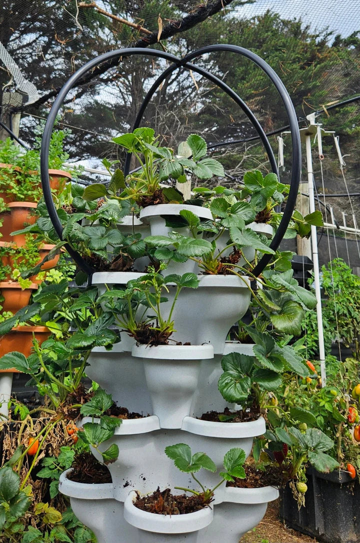 Vertical Solar Eco Farm Netting System