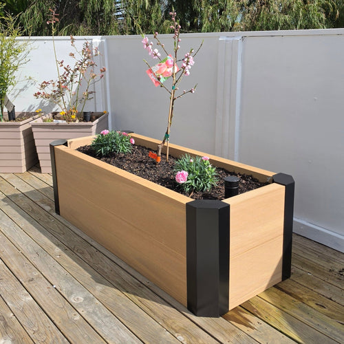 3 Cell Wicking Garden Bed DIY Kit - Wattle & Wick