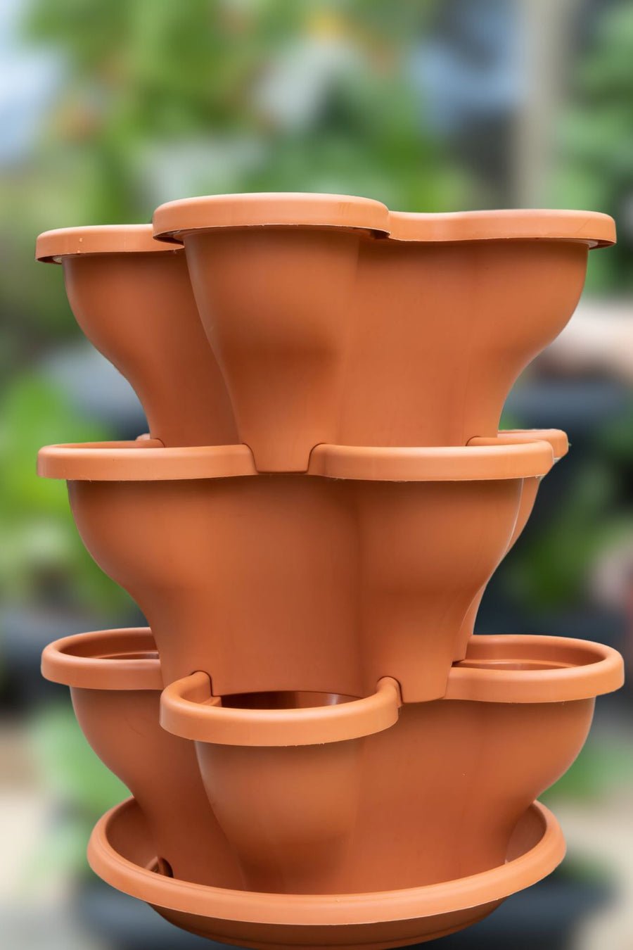 3 Tier Extra Large Verandah Planter - Wattle & Wick