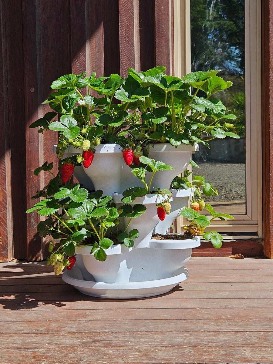 3 Tier Extra Large Verandah Planter - Wattle & Wick