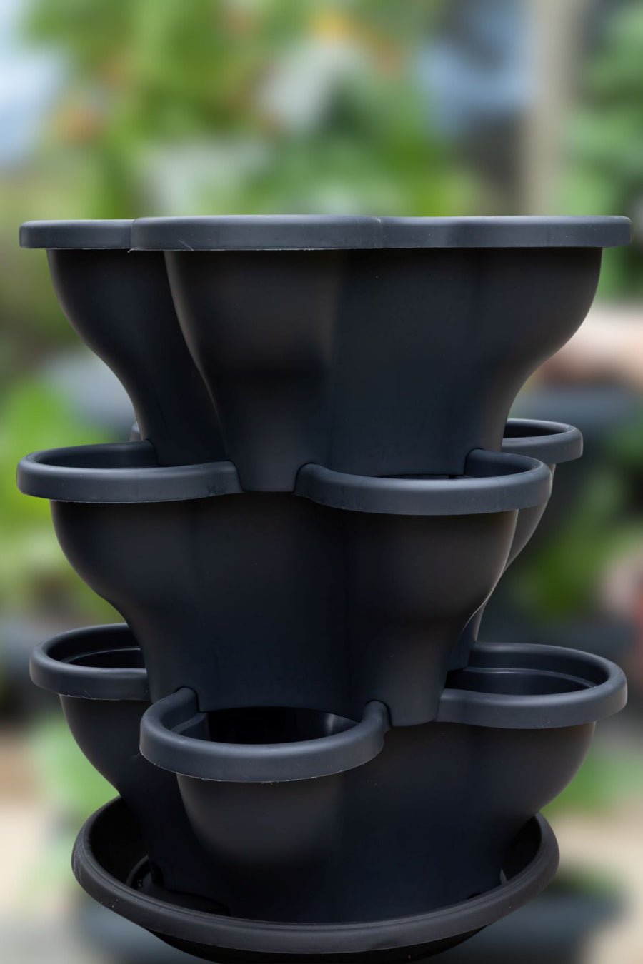 3 Tier Extra Large Verandah Planter - Wattle & Wick