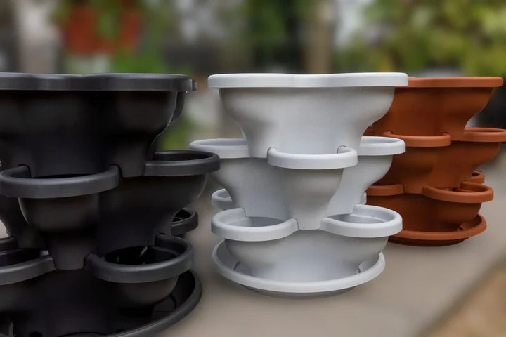 3 Tier Large Verandah Planter - Wattle & Wick