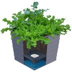 WaterUps Square Planter