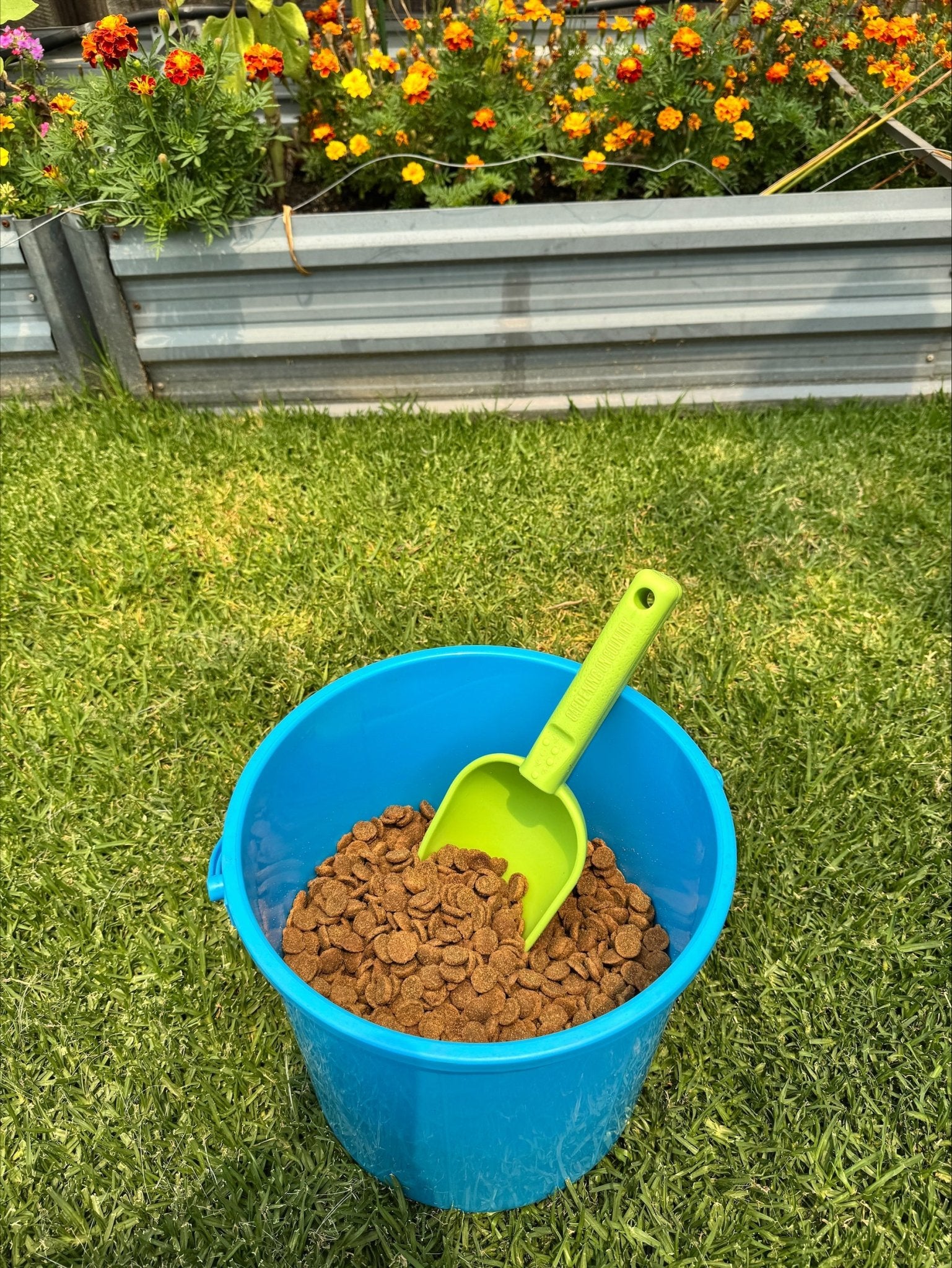 Peli Garden Scoop - Wattle & Wick
