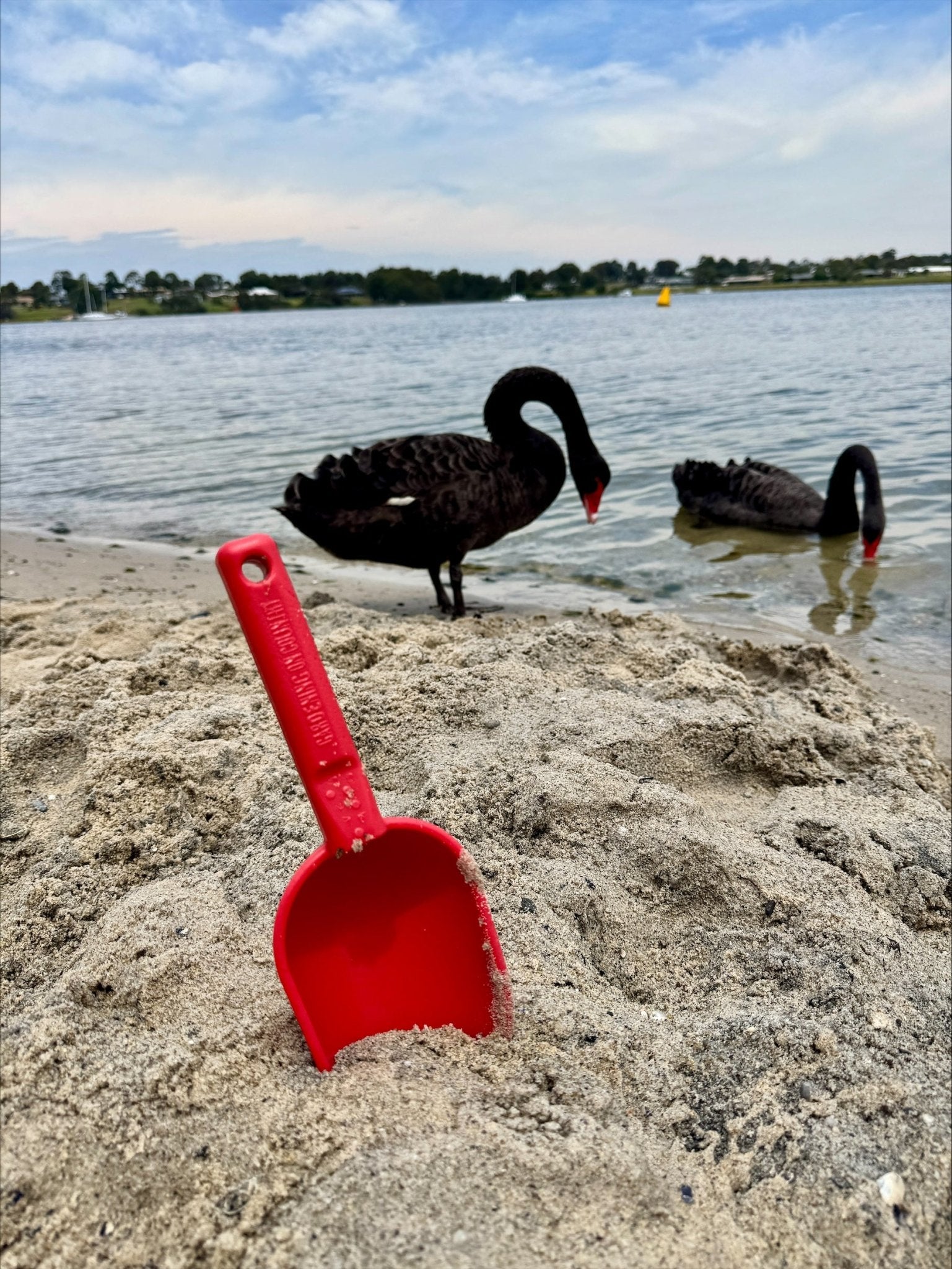 Peli Garden Scoop - Wattle & Wick