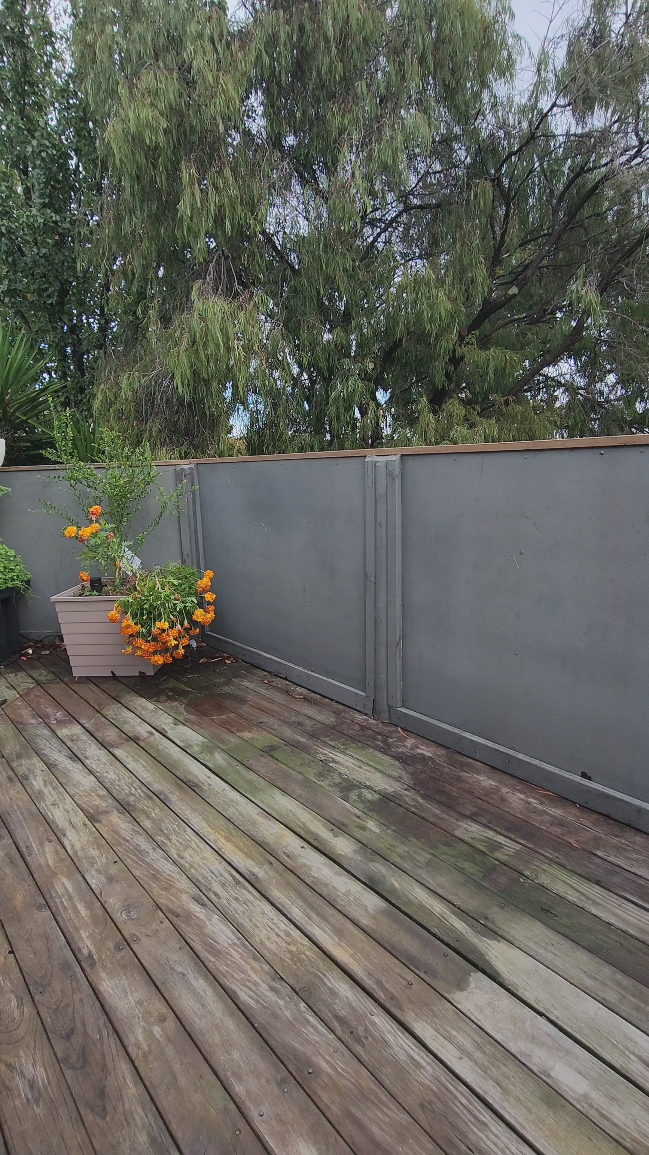 WaterUps Oasis 1680 Wicking Bed