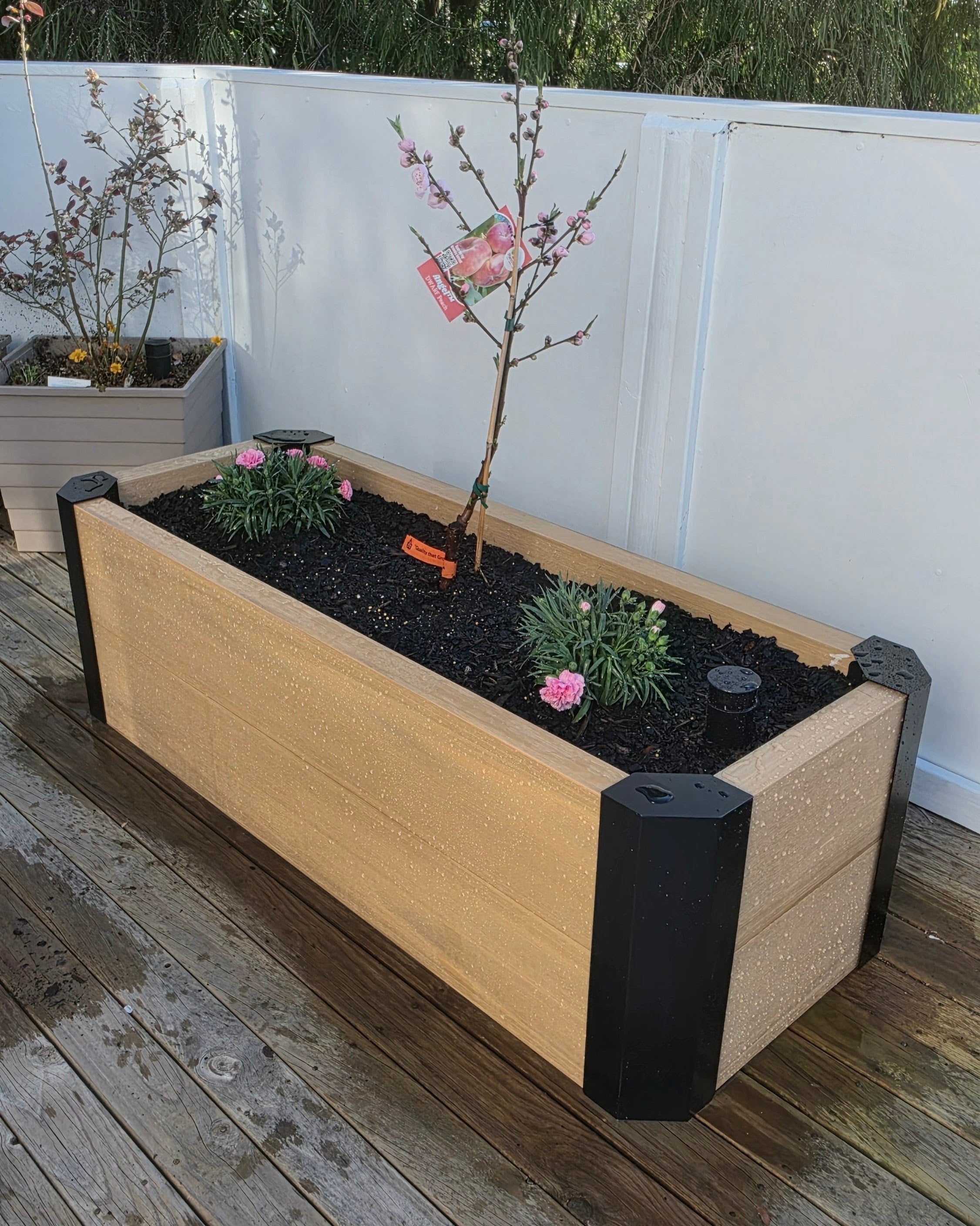 3 Cell Wicking Garden Bed DIY Kit