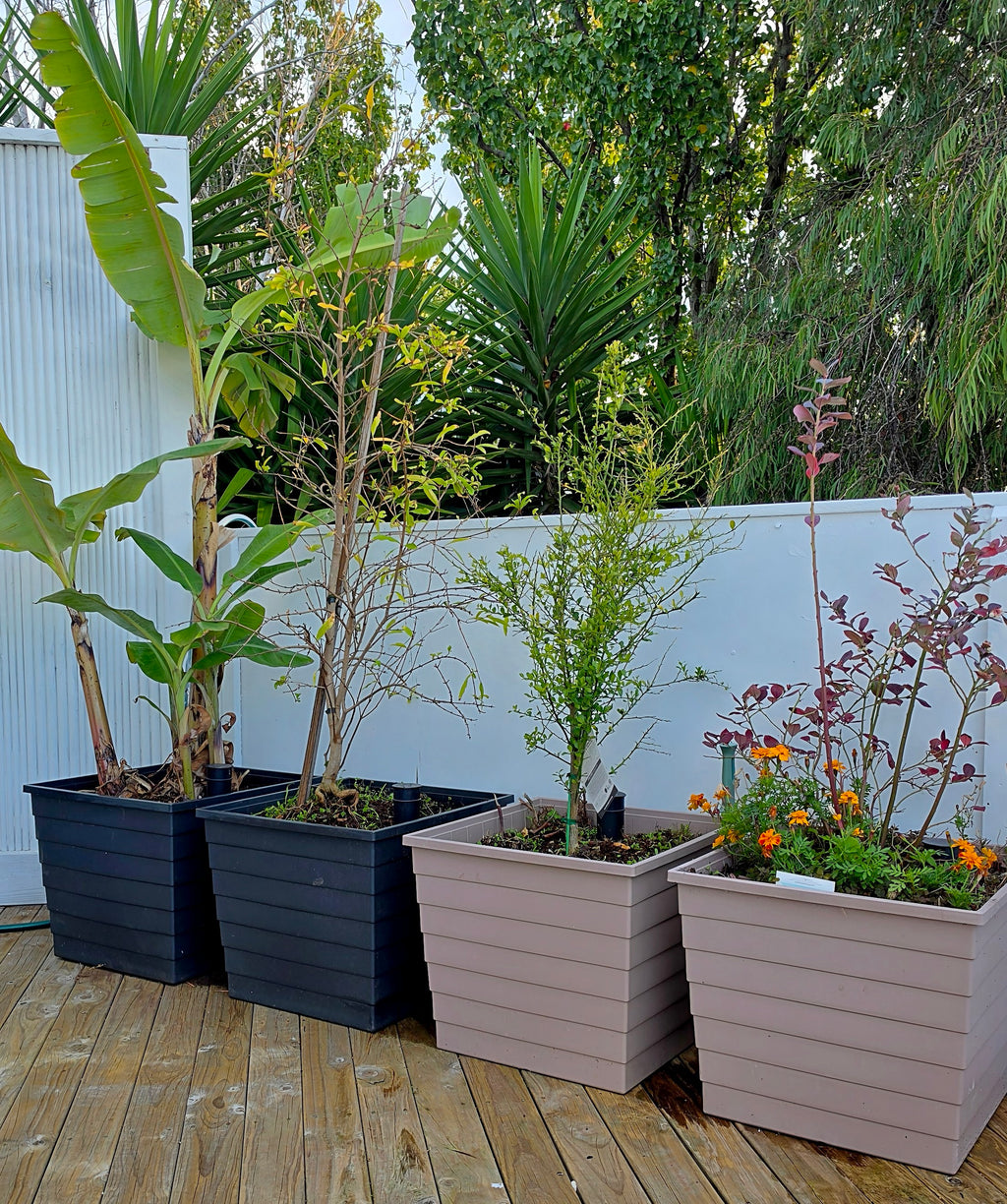 WaterUps Square Planter