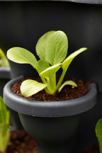 Triple Solar Eco Farm 5 Tier Extra Large 47.5cm Planters
