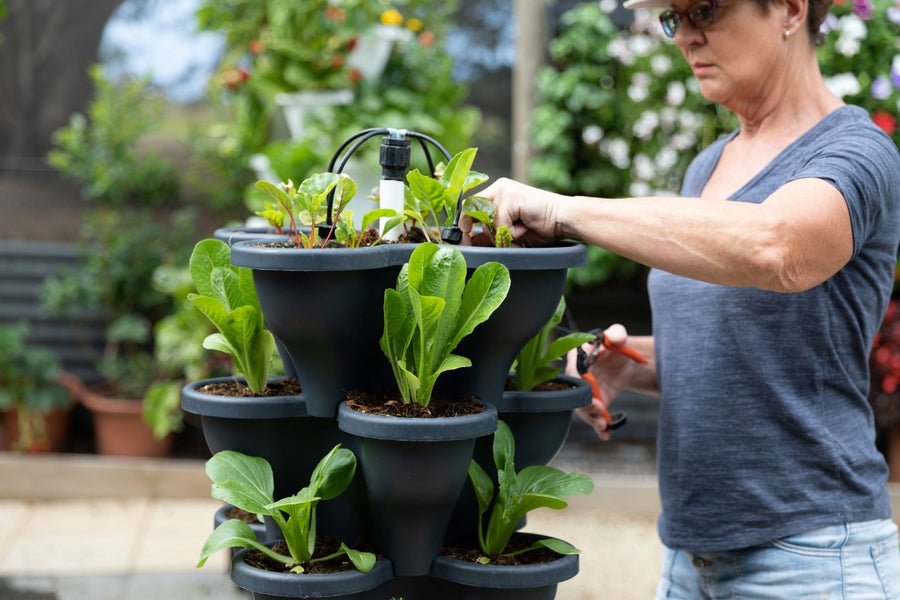 Triple Solar Eco Farm 5 Tier Extra Large 47.5cm Planters - Wattle & Wick