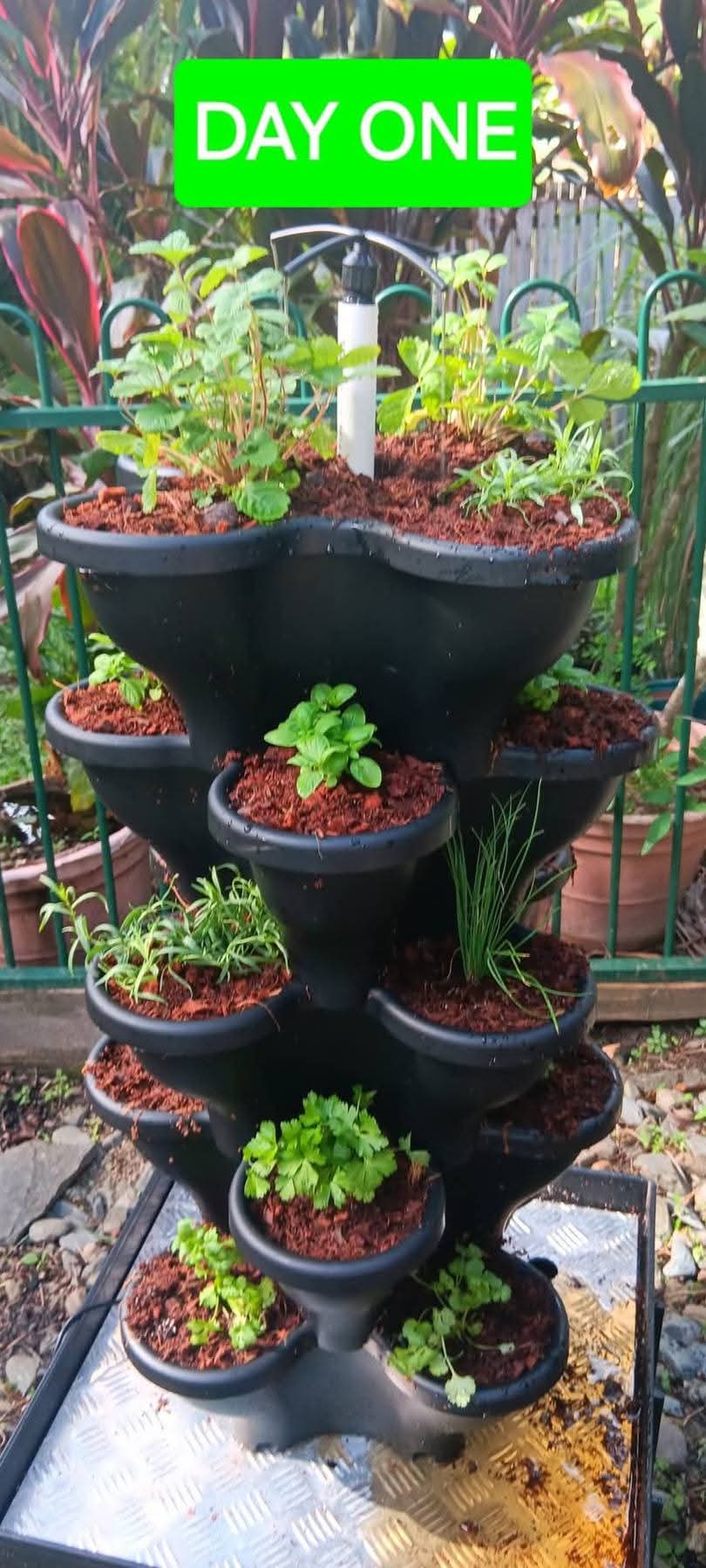 Triple Solar Eco Farm 5 Tier Extra Large 47.5cm Planters - Wattle & Wick