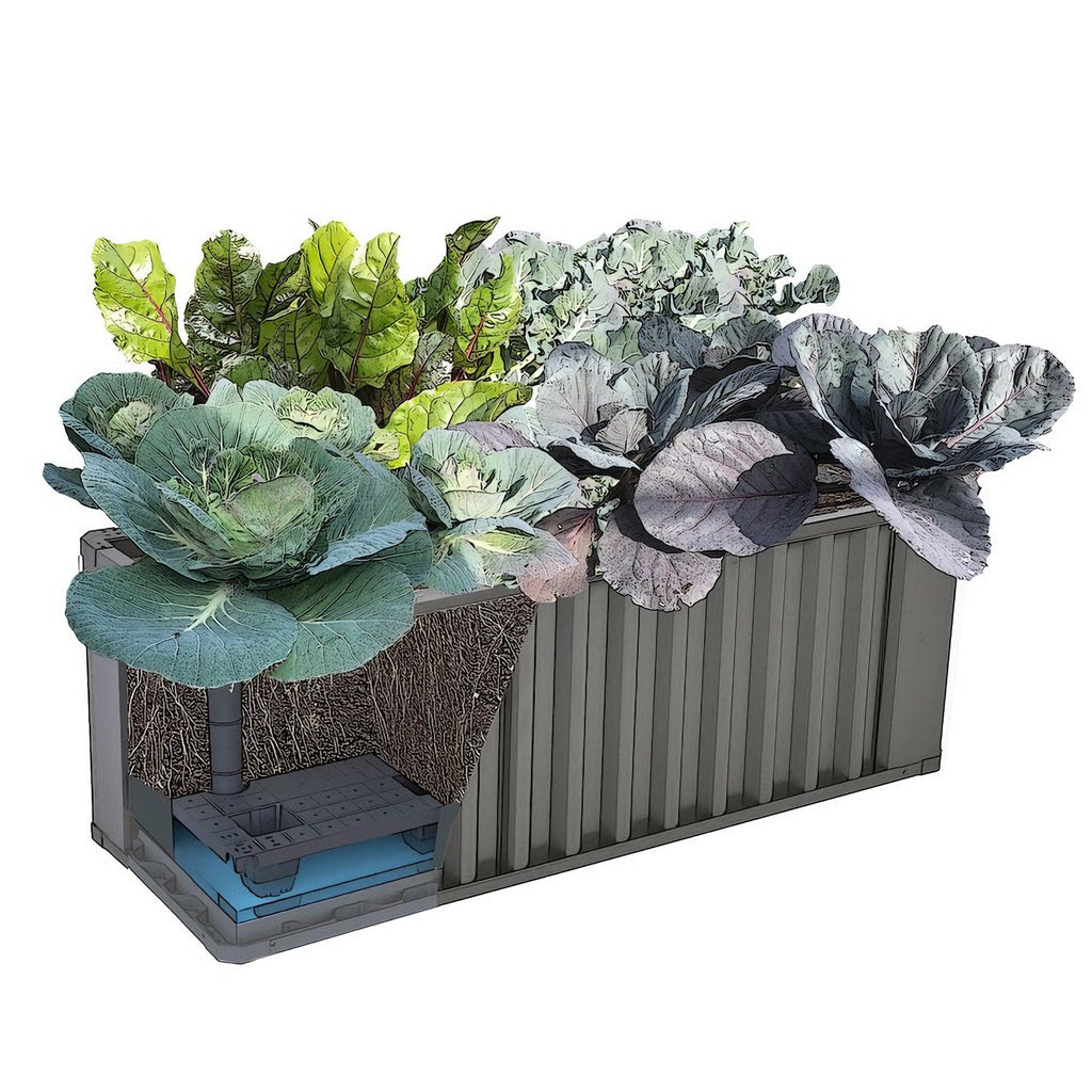 WaterUps Oasis 1240 Wicking Bed - Wattle & Wick