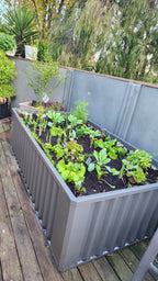 WaterUps Oasis 1680 Wicking Bed - Wattle & Wick
