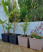 WaterUps Square Planter - Wattle & Wick