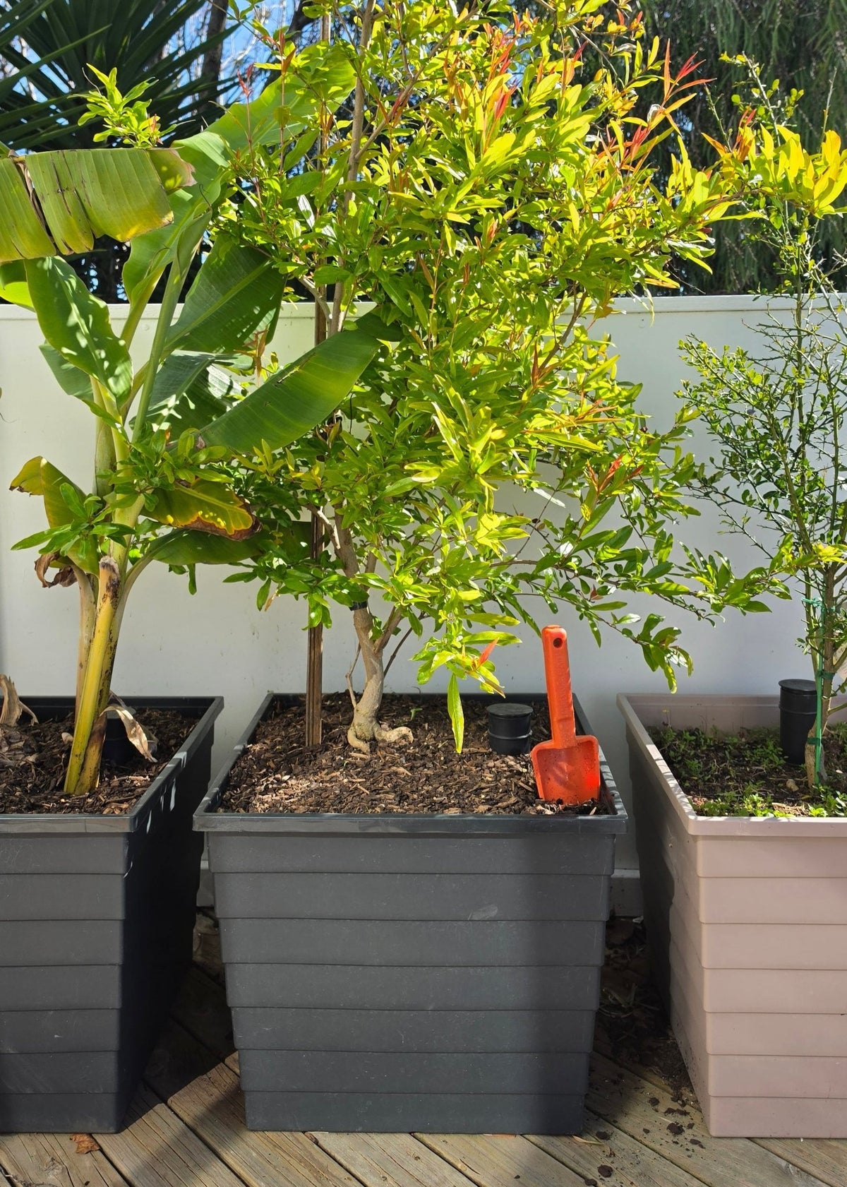 WaterUps Square Planter - Wattle & Wick
