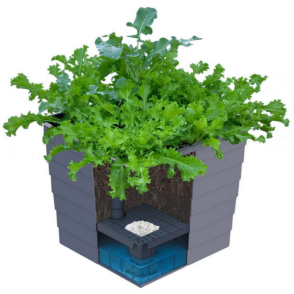 WaterUps Square Planter - Wattle & Wick