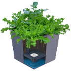 WaterUps Square Planter - Wattle & Wick