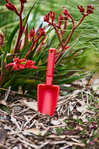 Womby Hand Trowel - Wattle & Wick