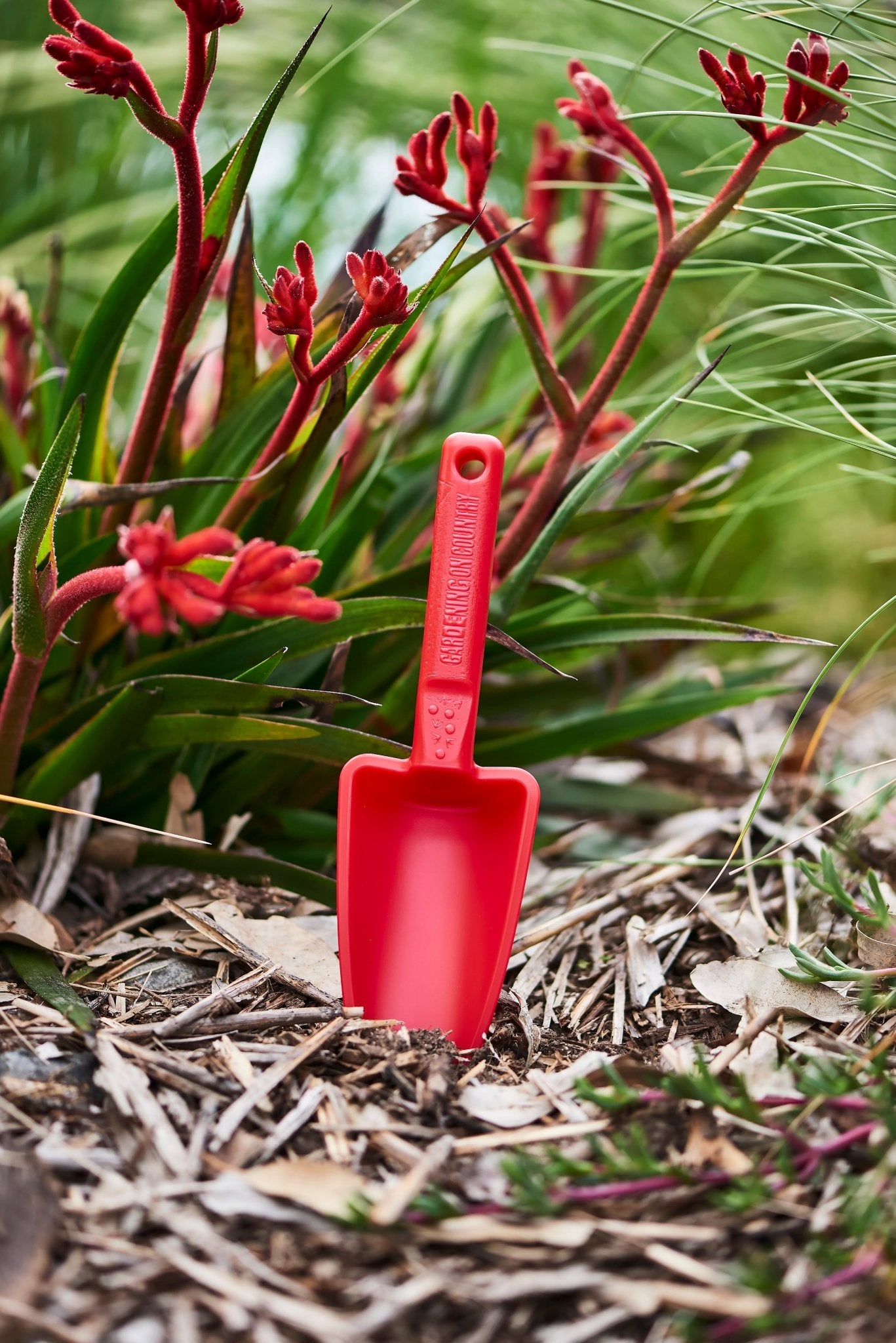 Womby Hand Trowel - Wattle & Wick