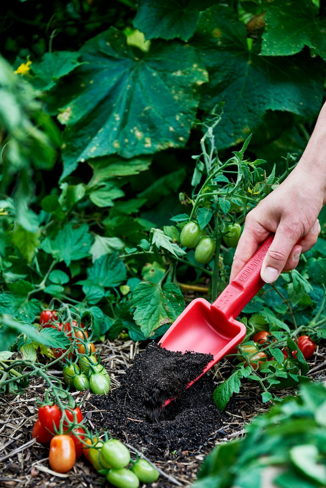 Womby Hand Trowel - Wattle & Wick