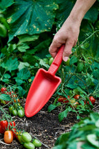 Womby Hand Trowel - Wattle & Wick