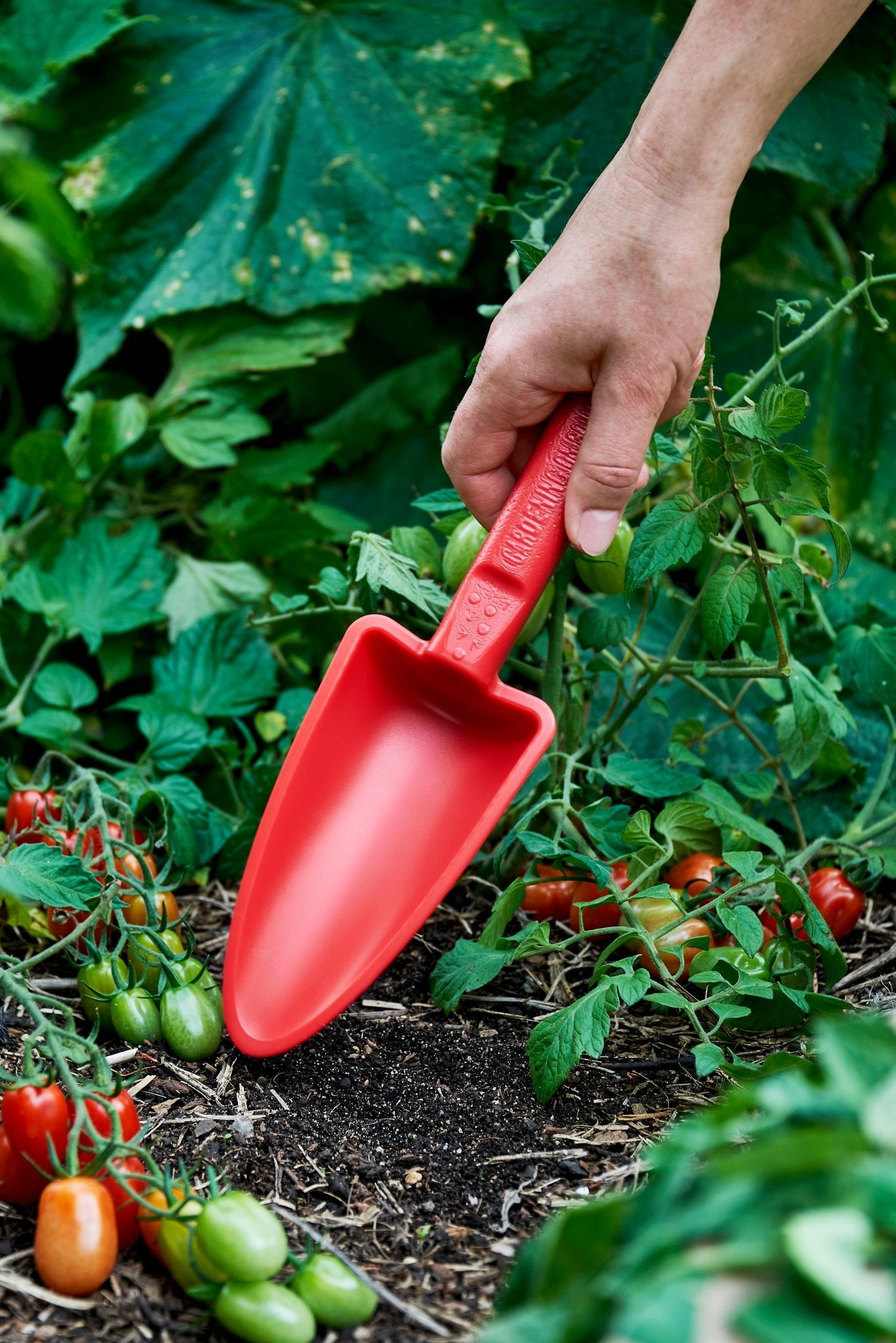 Womby Hand Trowel - Wattle & Wick