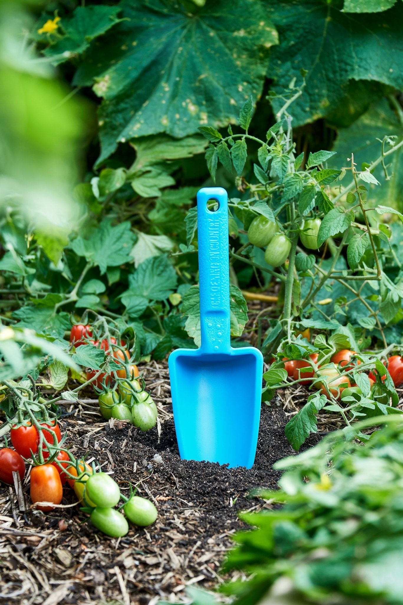 Womby Hand Trowel - Wattle & Wick